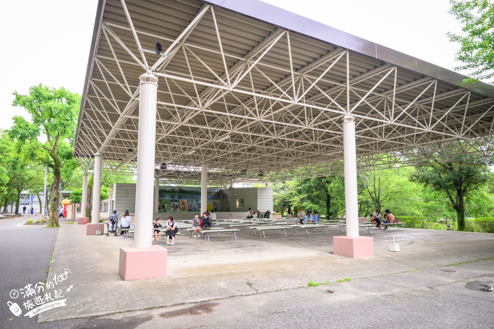 【熊本市動植物園】熊本必玩親子景點.門票&交通攻略.拍海賊王魯夫.看野生動物.玩復古樂園超放電! 【熊本市動植物園】熊本必玩親子景點.門票&交通攻略.拍海賊王魯夫.看野生動物.玩復古樂園超放電!