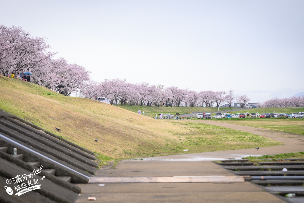 日本岐阜【墨俣一夜城址公園】岐阜免費賞櫻名所.登天守看櫻花隧道.賞櫻攻略&交通門票一次看!
