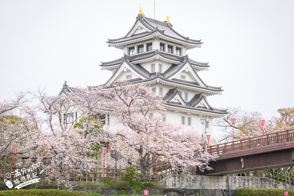 日本岐阜【墨俣一夜城址公園】岐阜免費賞櫻名所.登天守看櫻花隧道.賞櫻攻略&交通門票一次看!