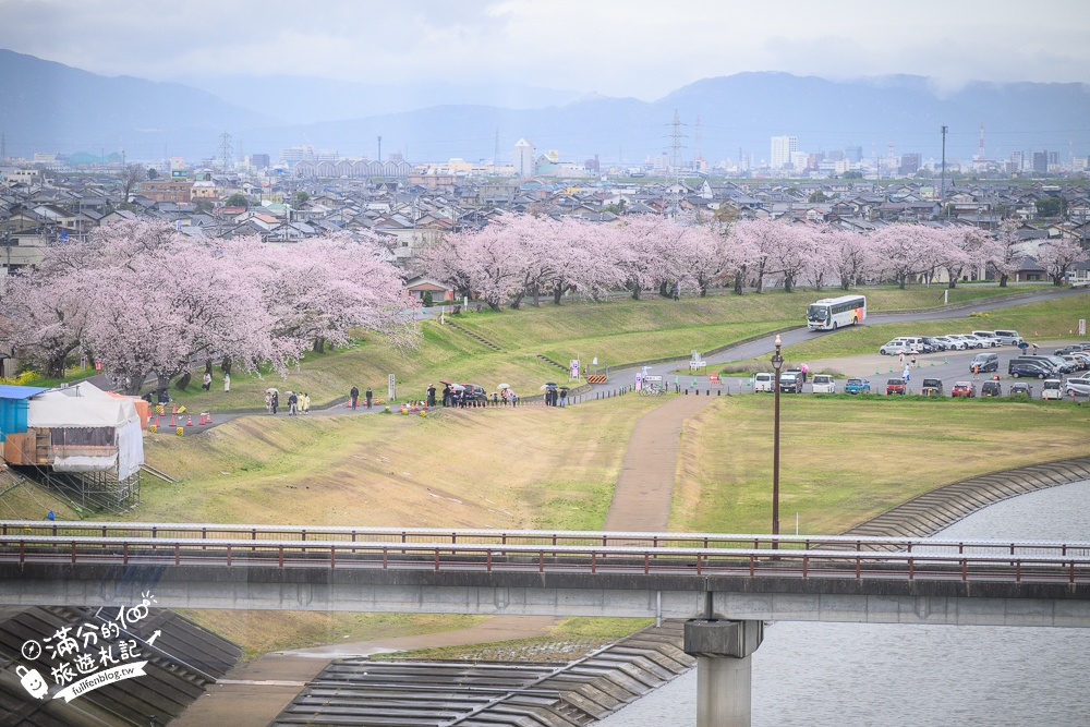 日本岐阜【墨俣一夜城址公園】岐阜免費賞櫻名所.登天守看櫻花隧道.賞櫻攻略&交通門票一次看!