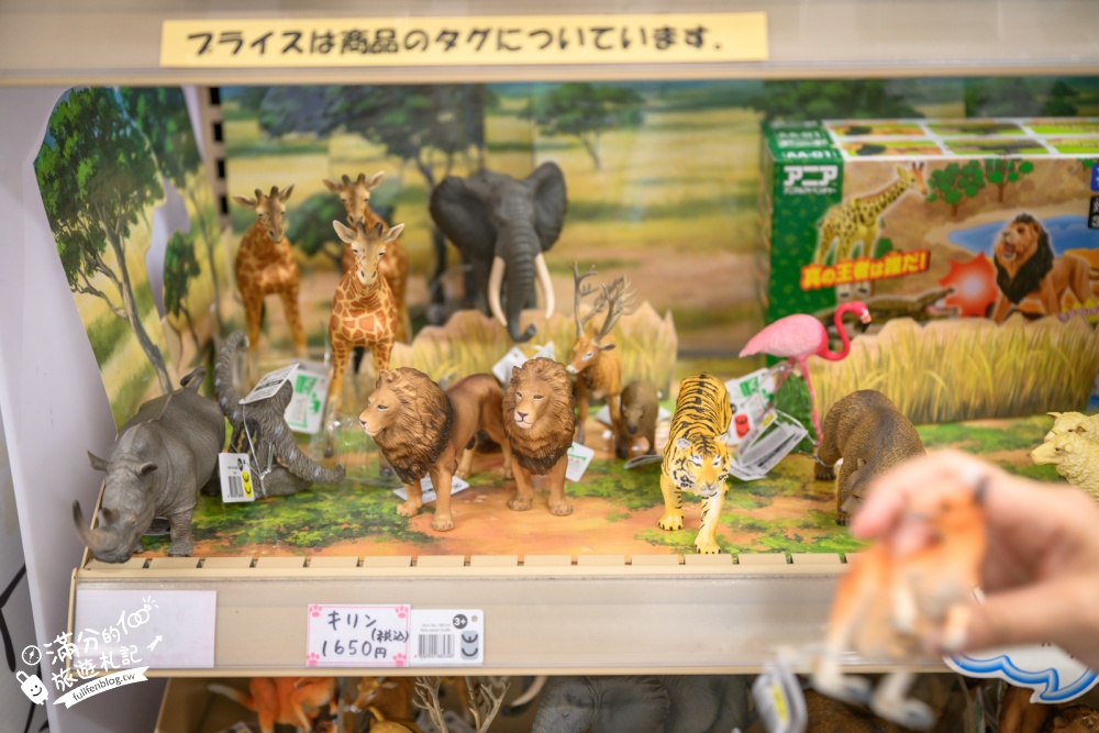 【熊本市動植物園】熊本必玩親子景點.門票&交通攻略.拍海賊王魯夫.看野生動物.玩復古樂園超放電! 【熊本市動植物園】熊本必玩親子景點.門票&交通攻略.拍海賊王魯夫.看野生動物.玩復古樂園超放電!