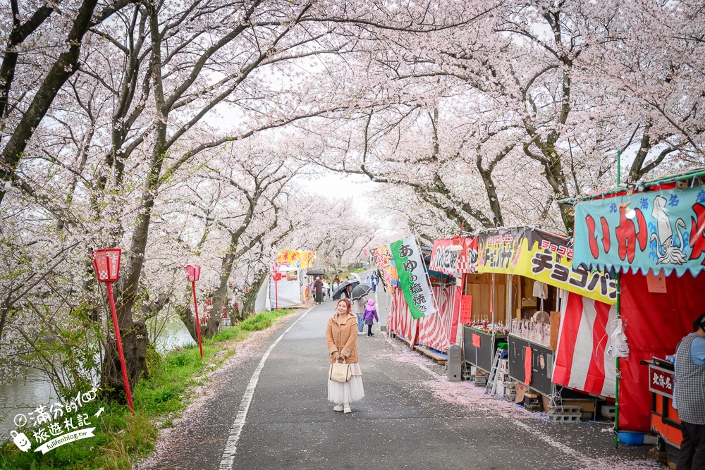 日本岐阜【墨俣一夜城址公園】岐阜免費賞櫻名所.登天守看櫻花隧道.賞櫻攻略&交通門票一次看!