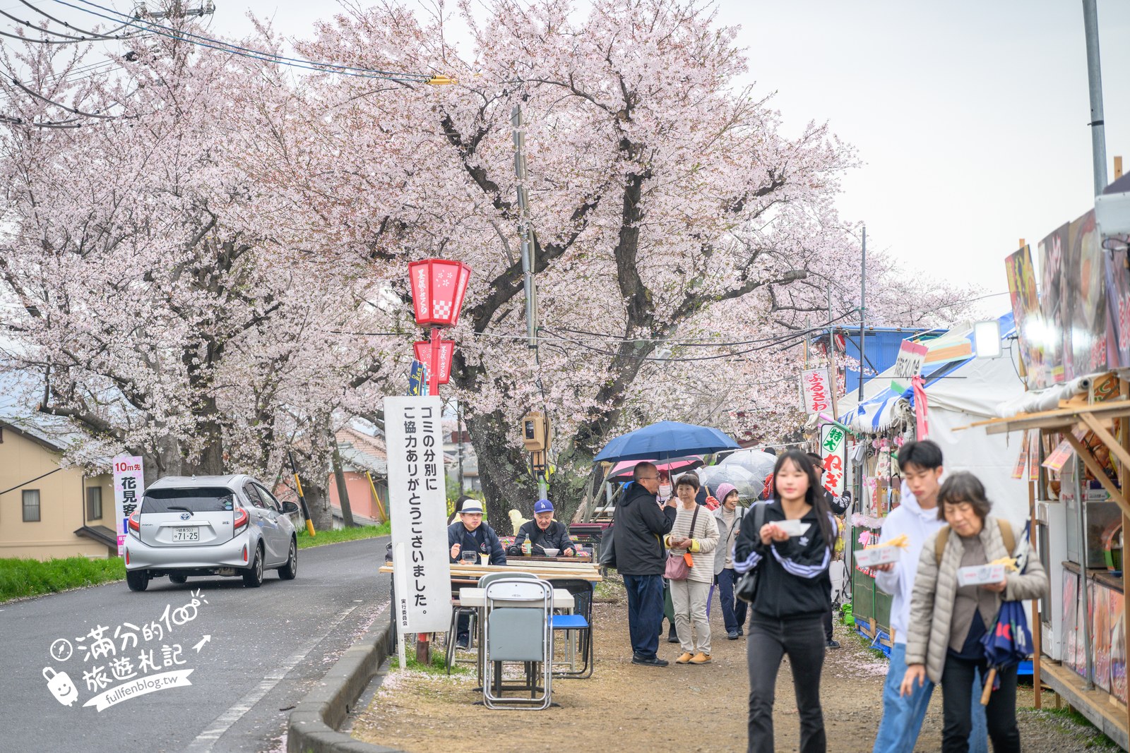 日本岐阜【墨俣一夜城址公園】免費賞櫻、登天守看櫻花隧道，交通門票一次看!