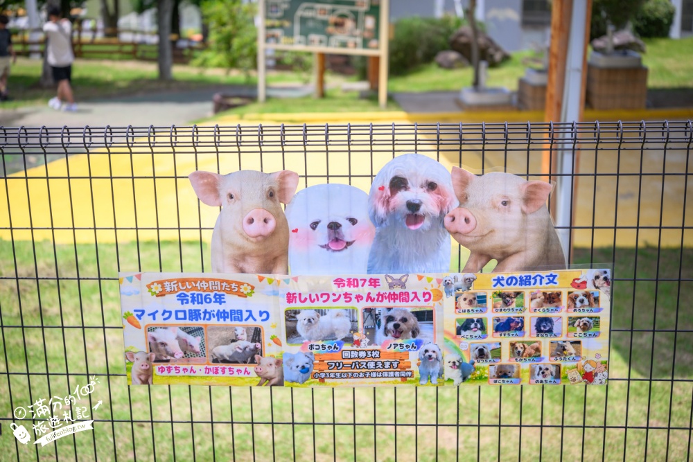 【熊本格林主題樂園】玩樂攻略&門票資訊.日本最多雲霄飛車的樂園,從幼兒到大人都能玩.一天真的不夠玩! 【熊本格林主題樂園】玩樂攻略&門票資訊.日本最多雲霄飛車的樂園,從幼兒到大人都能玩.一天真的不夠玩!