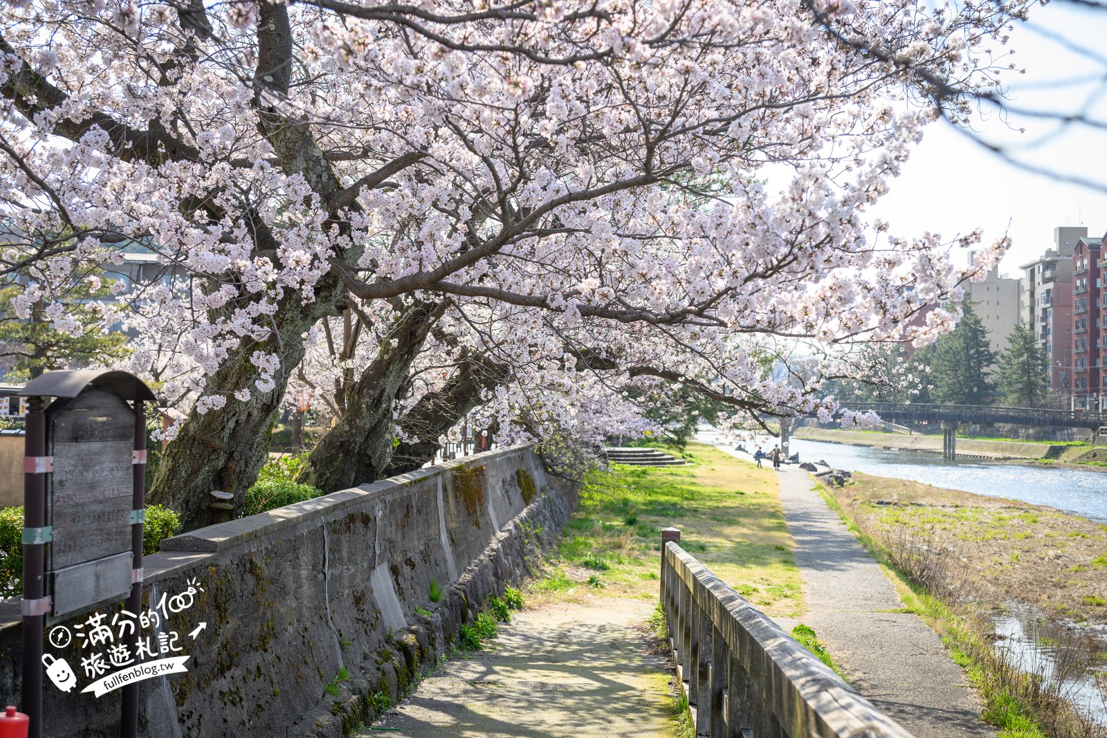日本金澤【東茶屋街】和服散策必拍老街.紅燈籠石板路櫻花季.金箔霜淇淋超好拍!
