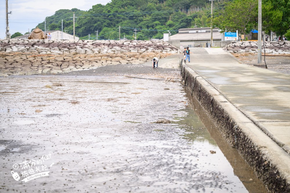 長部田海床路｜住吉海岸公園環境