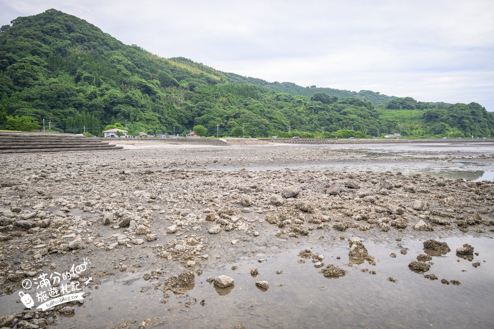 長部田海床路｜住吉海岸公園環境