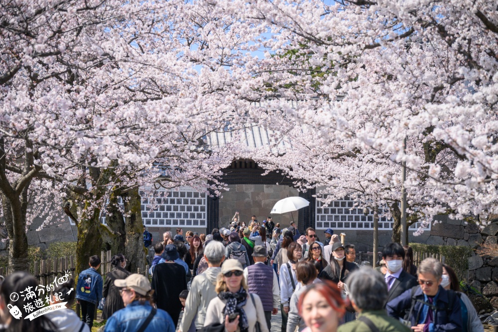 金澤【金澤城公園】一日遊玩樂賞櫻攻略.交通&門票資訊,不用一根釘子的白色屋瓦城堡.漫步絕美櫻花隧道! 金澤【金澤城公園】一日遊玩樂賞櫻攻略.交通&門票資訊,不用一根釘子的白色屋瓦城堡.漫步絕美櫻花隧道!