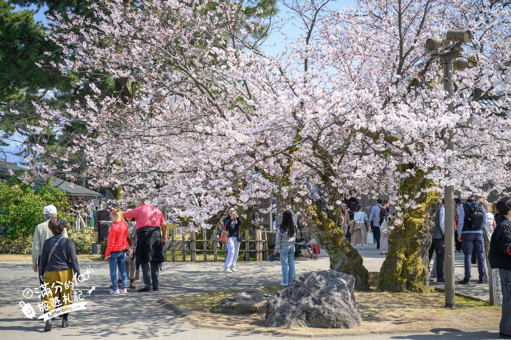 日本金澤【金澤城公園】賞櫻散步.百間堀櫻花&復原城樓.交通門票攻略! 日本金澤【金澤城公園】賞櫻散步.百間堀櫻花&復原城樓.交通門票攻略!