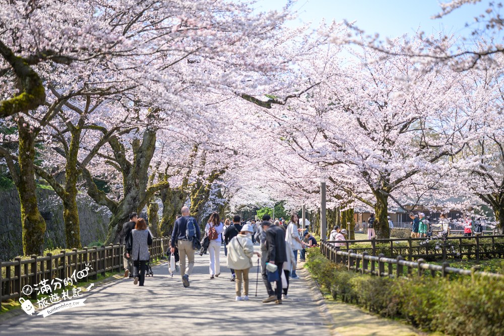 日本金澤【金澤城公園】賞櫻散步.百間堀櫻花&復原城樓.交通門票攻略! 日本金澤【金澤城公園】賞櫻散步.百間堀櫻花&復原城樓.交通門票攻略!
