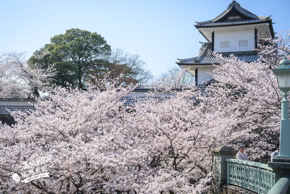 日本金澤【金澤城公園】賞櫻散步.百間堀櫻花&復原城樓.交通門票攻略! 日本金澤【金澤城公園】賞櫻散步.百間堀櫻花&復原城樓.交通門票攻略!