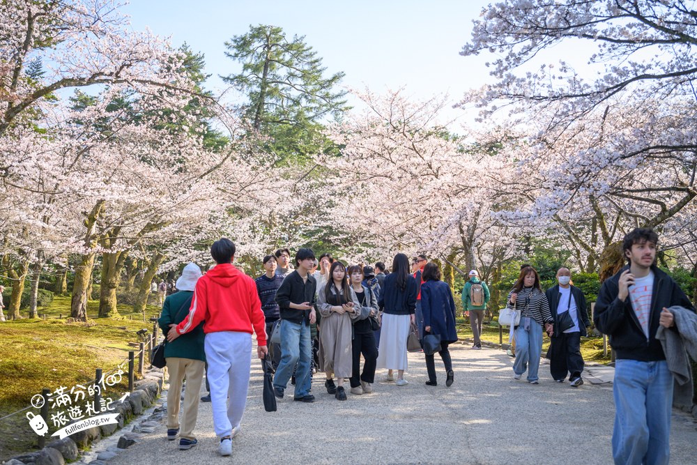日本金澤【兼六園】日本三名園賞櫻名所.霞ヶ池徽軫灯籠.交通門票與賞櫻動線攻略! 日本金澤【兼六園】日本三名園賞櫻名所.霞ヶ池徽軫灯籠.交通門票與賞櫻動線攻略!