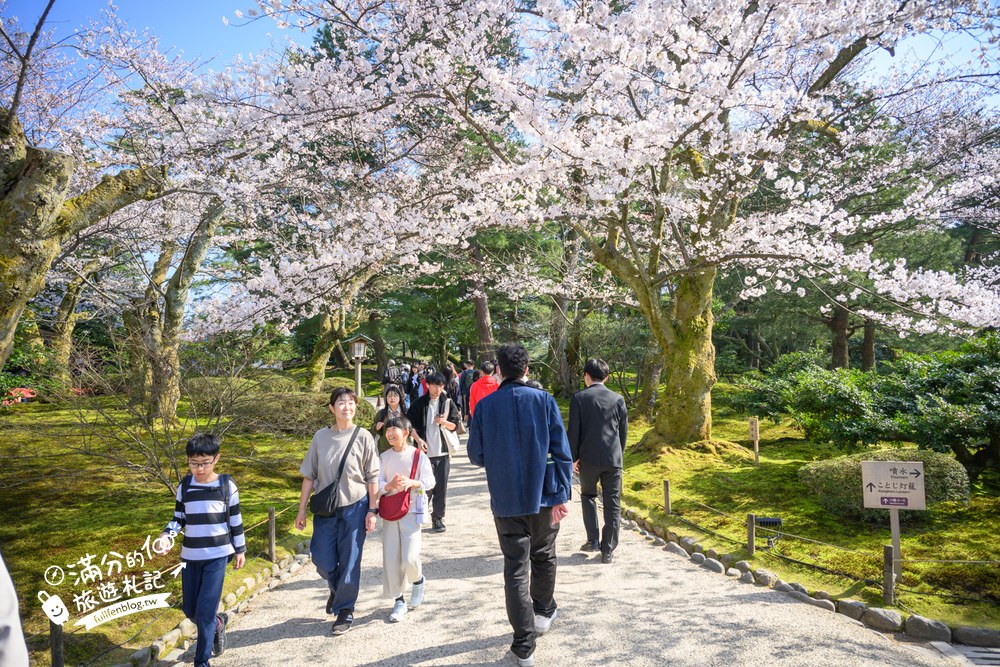 日本金澤【兼六園】日本三名園賞櫻名所.霞ヶ池徽軫灯籠.交通門票與賞櫻動線攻略! 日本金澤【兼六園】日本三名園賞櫻名所.霞ヶ池徽軫灯籠.交通門票與賞櫻動線攻略!
