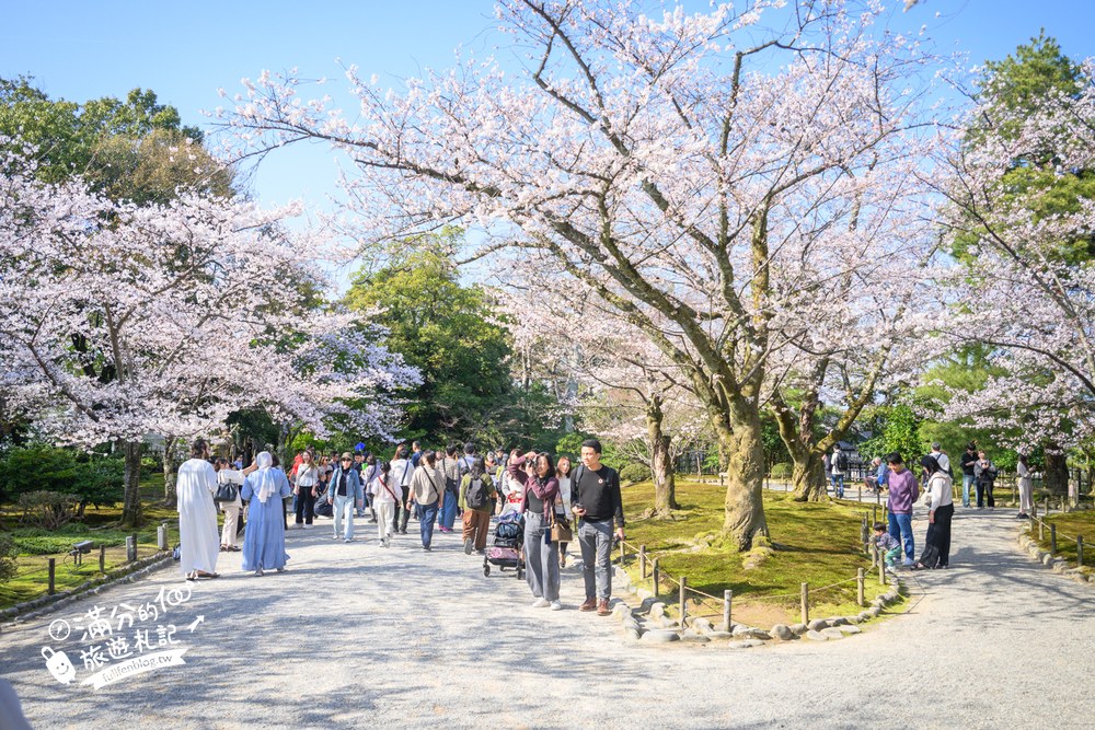 日本金澤【兼六園】日本三名園賞櫻名所.霞ヶ池徽軫灯籠.交通門票與賞櫻動線攻略! 日本金澤【兼六園】日本三名園賞櫻名所.霞ヶ池徽軫灯籠.交通門票與賞櫻動線攻略!