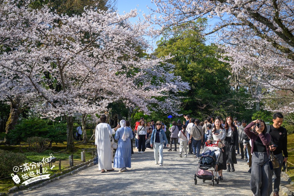日本金澤【兼六園】日本三名園賞櫻名所.霞ヶ池徽軫灯籠.交通門票與賞櫻動線攻略! 日本金澤【兼六園】日本三名園賞櫻名所.霞ヶ池徽軫灯籠.交通門票與賞櫻動線攻略!