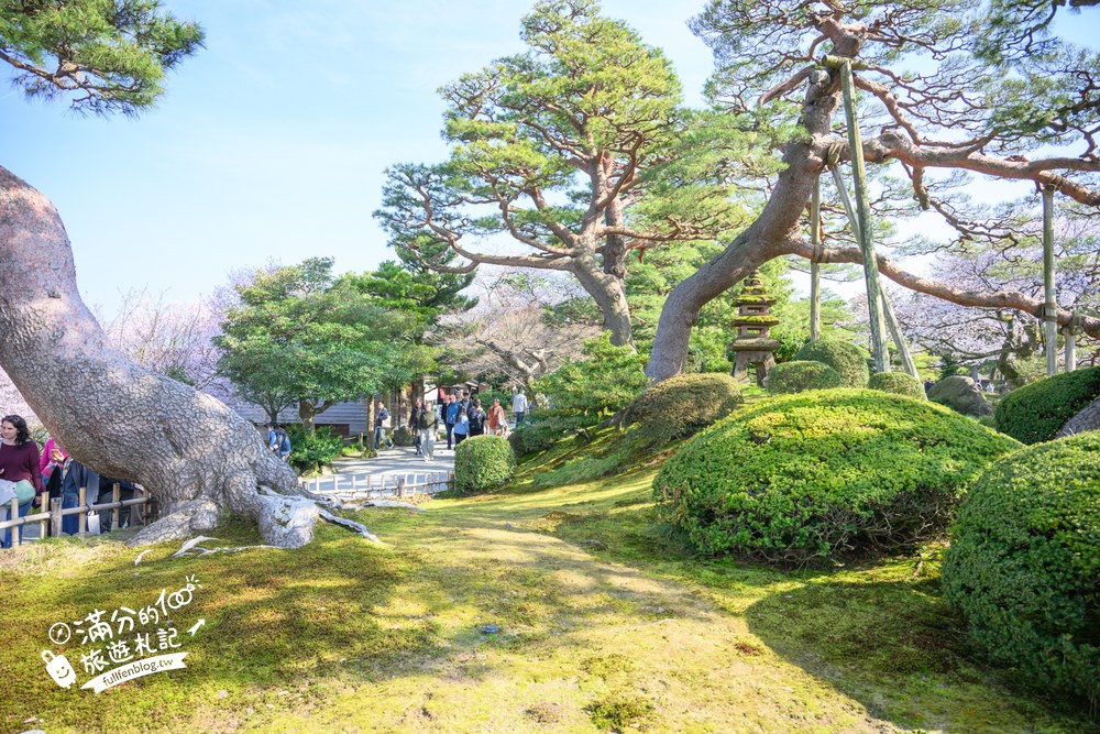 日本金澤【兼六園】日本三名園賞櫻名所.霞ヶ池徽軫灯籠.交通門票與賞櫻動線攻略! 日本金澤【兼六園】日本三名園賞櫻名所.霞ヶ池徽軫灯籠.交通門票與賞櫻動線攻略!