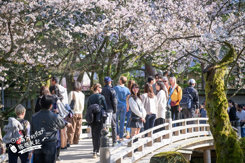 日本金澤【兼六園】日本三名園賞櫻名所.霞ヶ池徽軫灯籠.交通門票與賞櫻動線攻略! 日本金澤【兼六園】日本三名園賞櫻名所.霞ヶ池徽軫灯籠.交通門票與賞櫻動線攻略!
