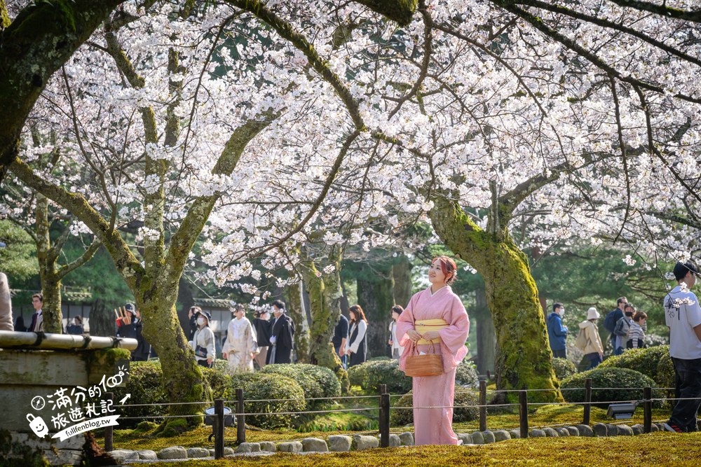 日本金澤【兼六園】日本三名園賞櫻名所.霞ヶ池徽軫灯籠.交通門票與賞櫻動線攻略! 日本金澤【兼六園】日本三名園賞櫻名所.霞ヶ池徽軫灯籠.交通門票與賞櫻動線攻略!