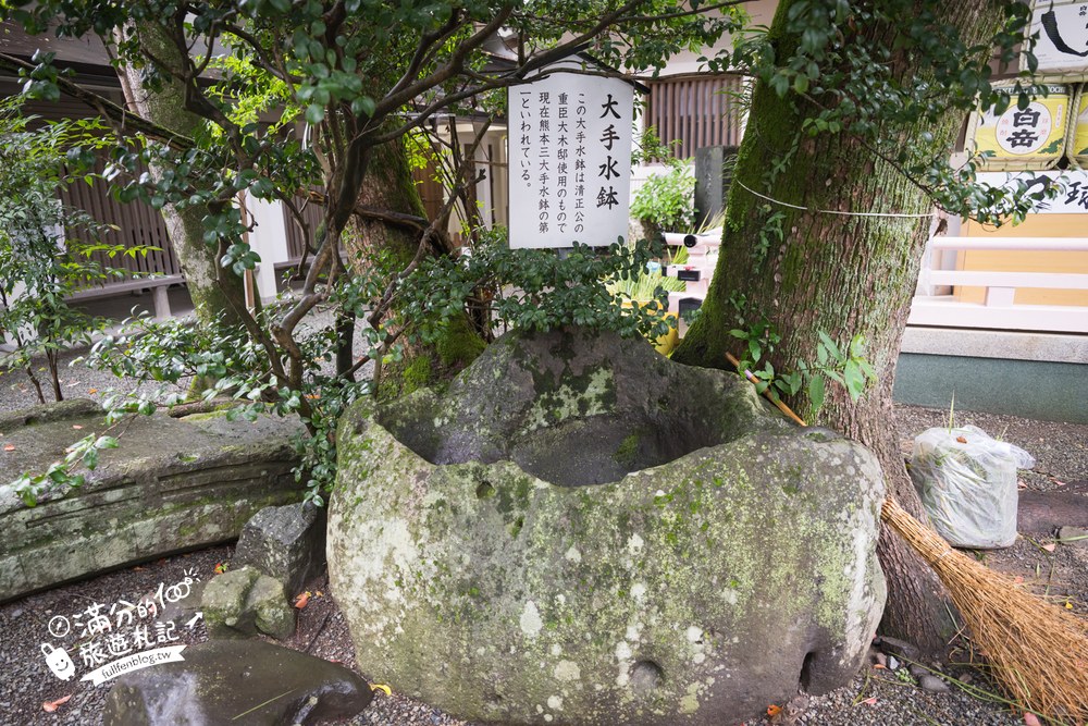 加藤神社|御神木與茅之輪 加藤神社|御神木與茅之輪