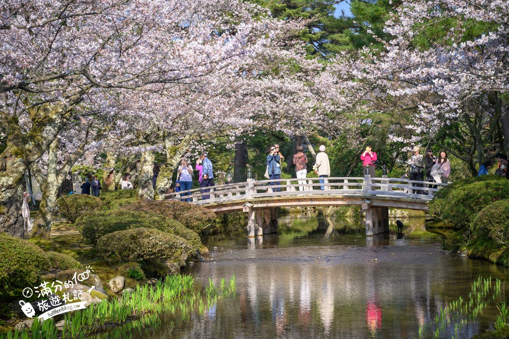 日本金澤【兼六園】日本三名園賞櫻名所.霞ヶ池徽軫灯籠.交通門票與賞櫻動線攻略! 日本金澤【兼六園】日本三名園賞櫻名所.霞ヶ池徽軫灯籠.交通門票與賞櫻動線攻略!