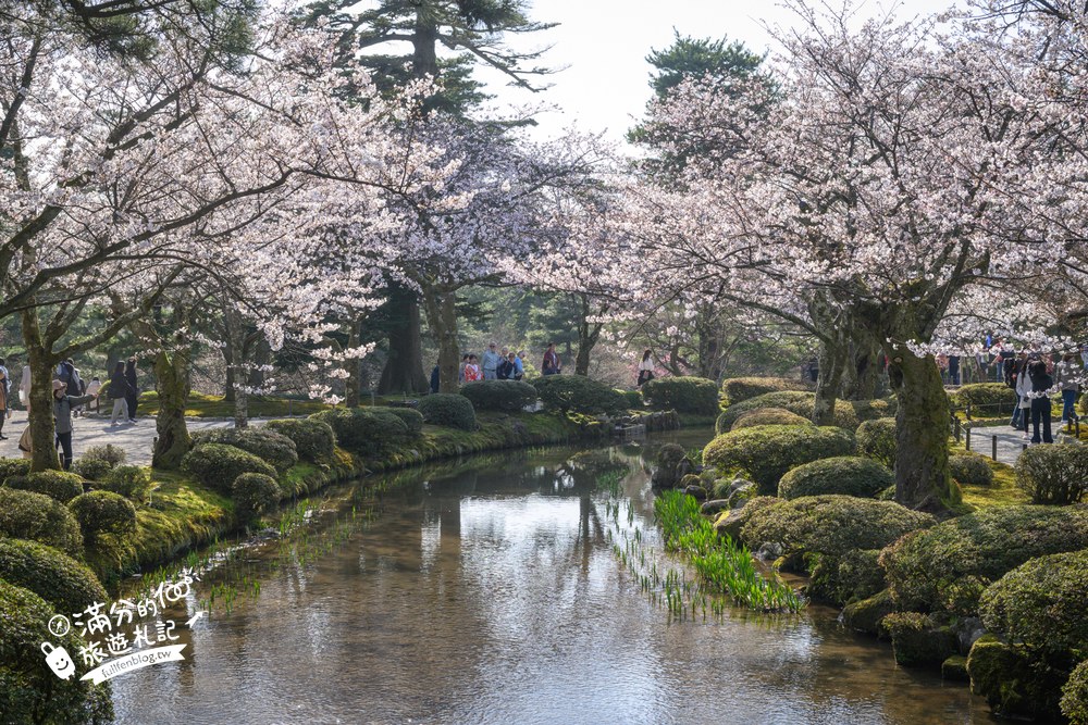 日本金澤【兼六園】日本三名園賞櫻名所.霞ヶ池徽軫灯籠.交通門票與賞櫻動線攻略! 日本金澤【兼六園】日本三名園賞櫻名所.霞ヶ池徽軫灯籠.交通門票與賞櫻動線攻略!