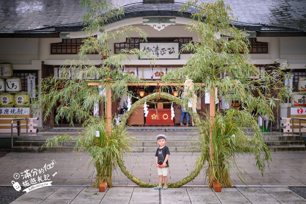 加藤神社|御神木與茅之輪 加藤神社|御神木與茅之輪
