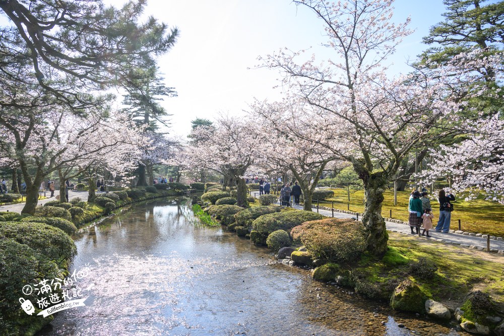 日本金澤【兼六園】日本三名園賞櫻名所.霞ヶ池徽軫灯籠.交通門票與賞櫻動線攻略! 日本金澤【兼六園】日本三名園賞櫻名所.霞ヶ池徽軫灯籠.交通門票與賞櫻動線攻略!