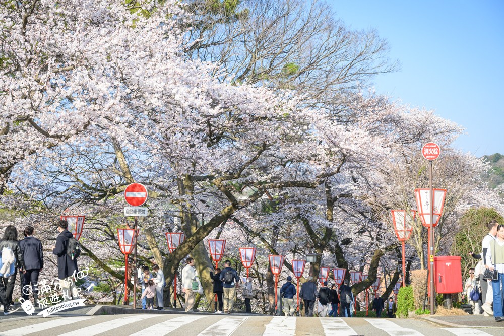 日本金澤【兼六園】日本三名園賞櫻名所.霞ヶ池徽軫灯籠.交通門票與賞櫻動線攻略! 日本金澤【兼六園】日本三名園賞櫻名所.霞ヶ池徽軫灯籠.交通門票與賞櫻動線攻略!