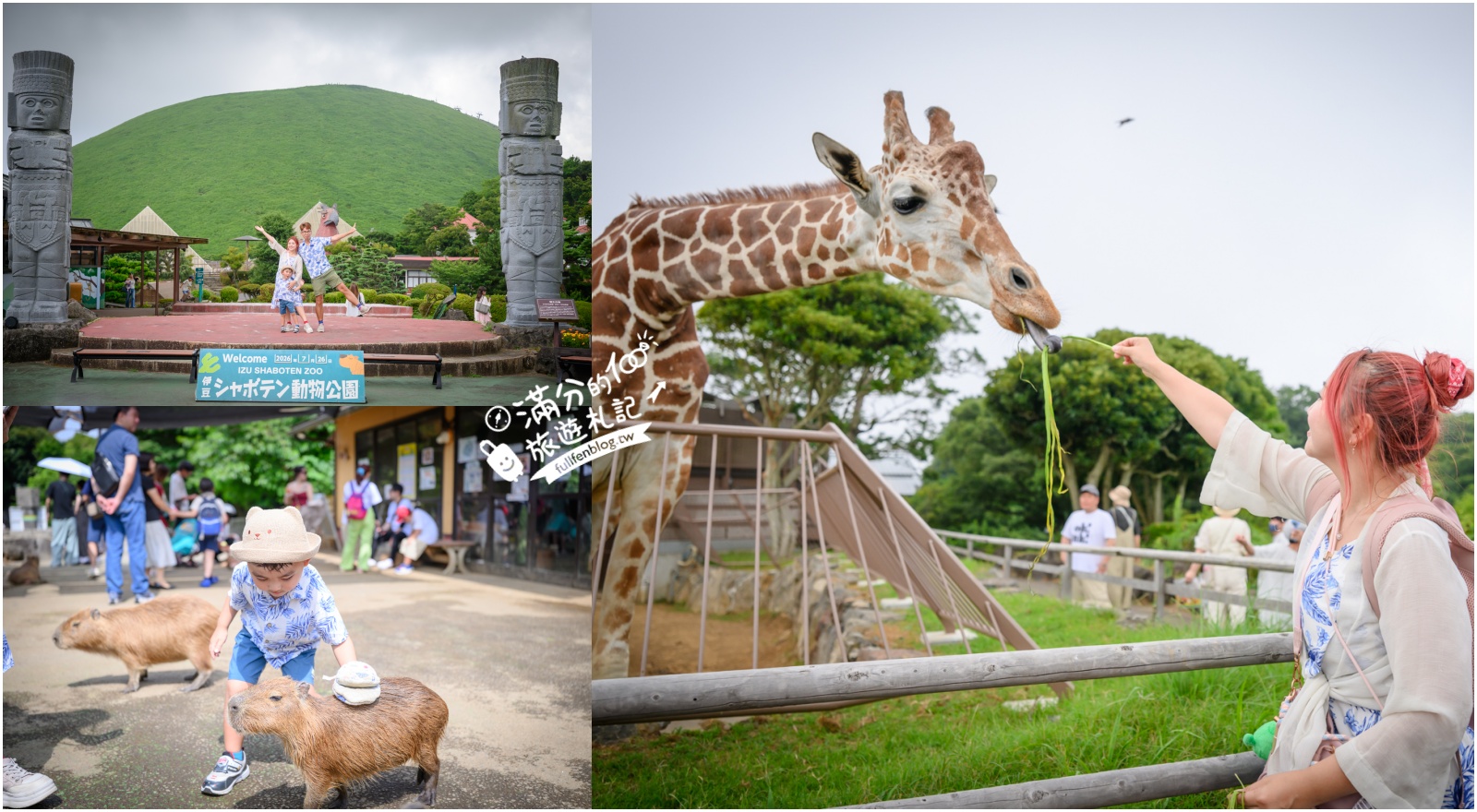 靜岡大室山親子景點【伊豆仙人掌動物公園】門票.交通.營業時間.與水豚互動.餵長頸鹿.搭動物船玩樂攻略! @滿分的旅遊札記