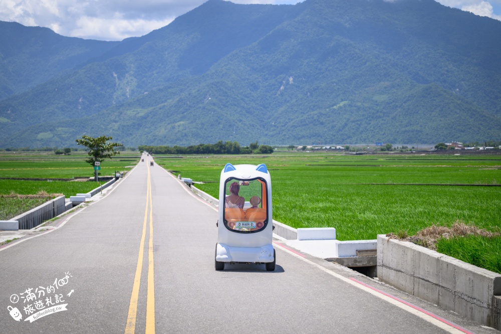台東池上租車體驗【池上伯朗大道熊愛騎電動車出租店】巨型萌寵電動車玩伯朗大道、金城武樹和天堂路！價格&玩樂路線攻略