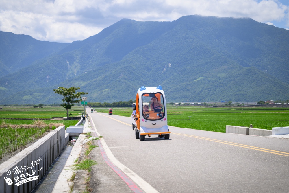 台東池上租車體驗【池上伯朗大道熊愛騎電動車出租店】巨型萌寵電動車玩伯朗大道、金城武樹和天堂路！價格&玩樂路線攻略