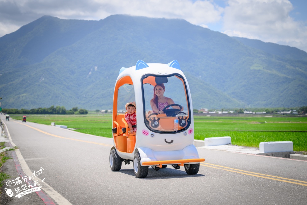 台東池上租車體驗【池上伯朗大道熊愛騎電動車出租店】巨型萌寵電動車玩伯朗大道、金城武樹和天堂路！價格&玩樂路線攻略