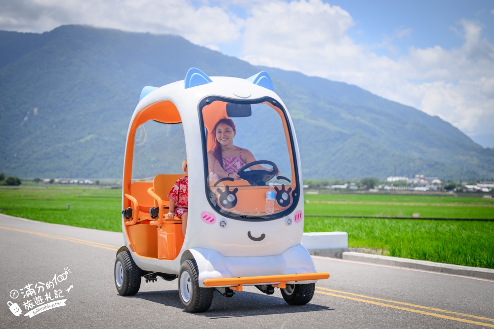 台東池上租車體驗【池上伯朗大道熊愛騎電動車出租店】巨型萌寵電動車玩伯朗大道、金城武樹和天堂路！價格&玩樂路線攻略