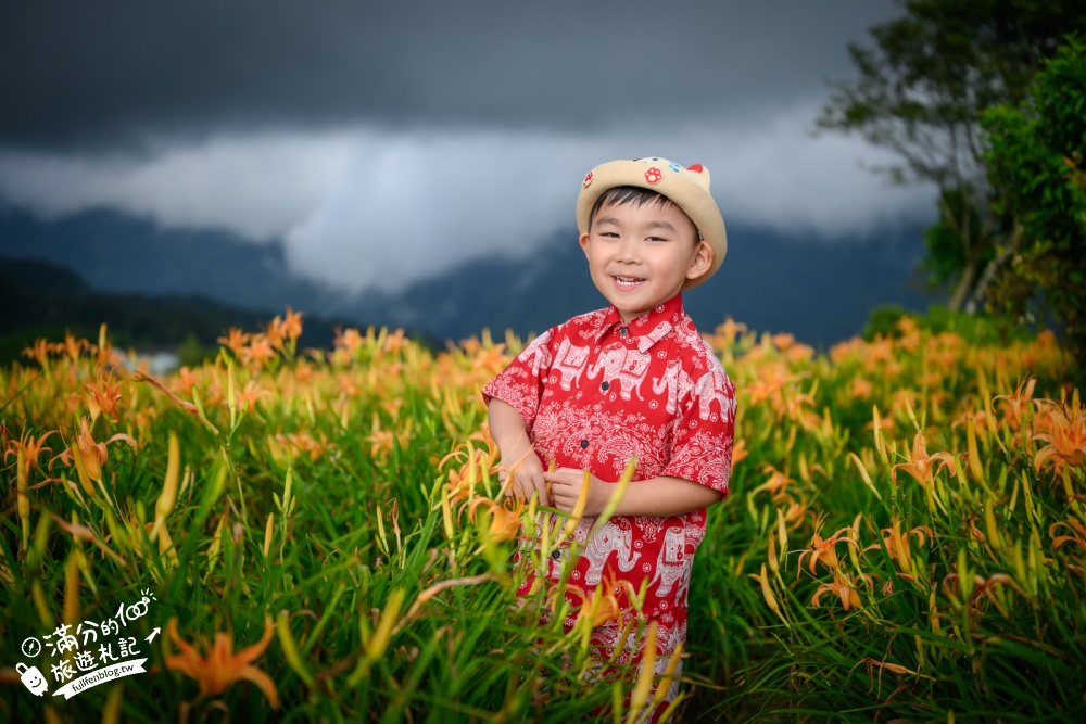 【2026六十石山金針花季】小瑞士觀景台＋富里983，金針花季最新花況！花期時間、交通、耶穌光花毯、花東縱谷一次看