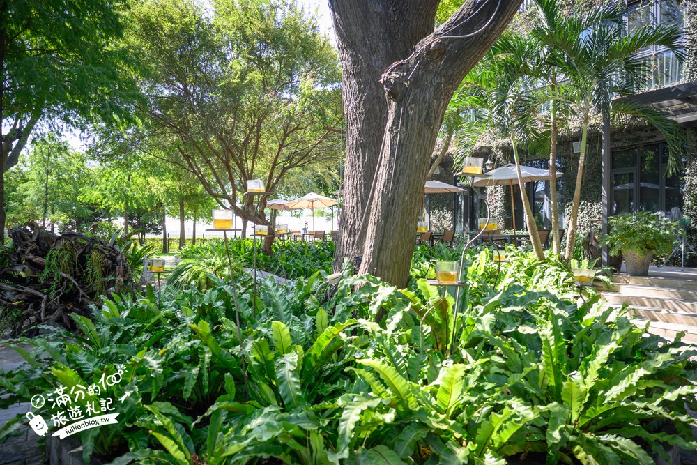家園咖啡牛排|庭園環境 家園咖啡牛排|庭園環境