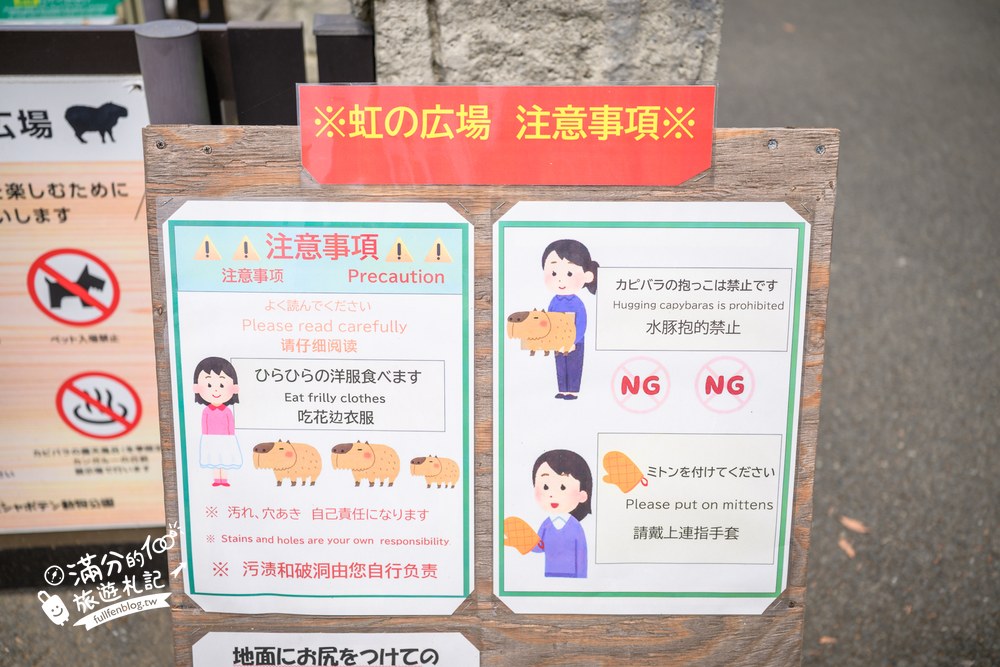 伊豆仙人掌動物園｜伊豆シャボテン動物公園｜カピバラの広場