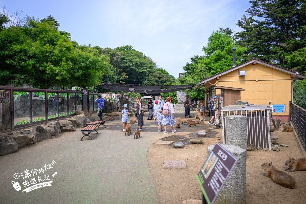 伊豆仙人掌動物園｜伊豆シャボテン動物公園｜カピバラの広場