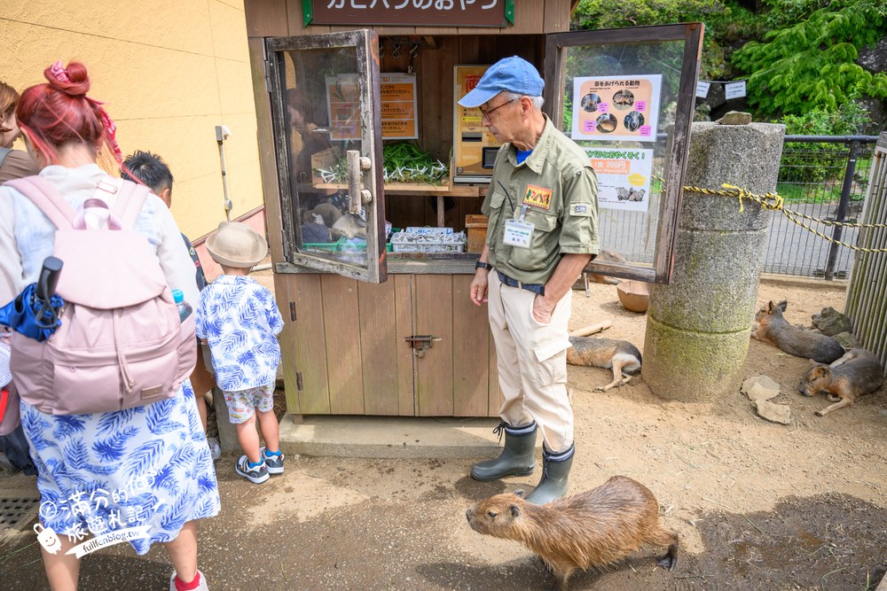伊豆仙人掌動物園｜伊豆シャボテン動物公園｜カピバラの広場