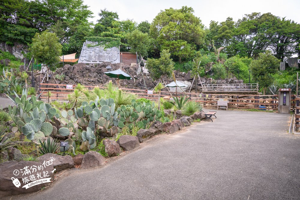 伊豆仙人掌動物園｜伊豆シャボテン動物公園｜仙人掌與多肉植物庭園
