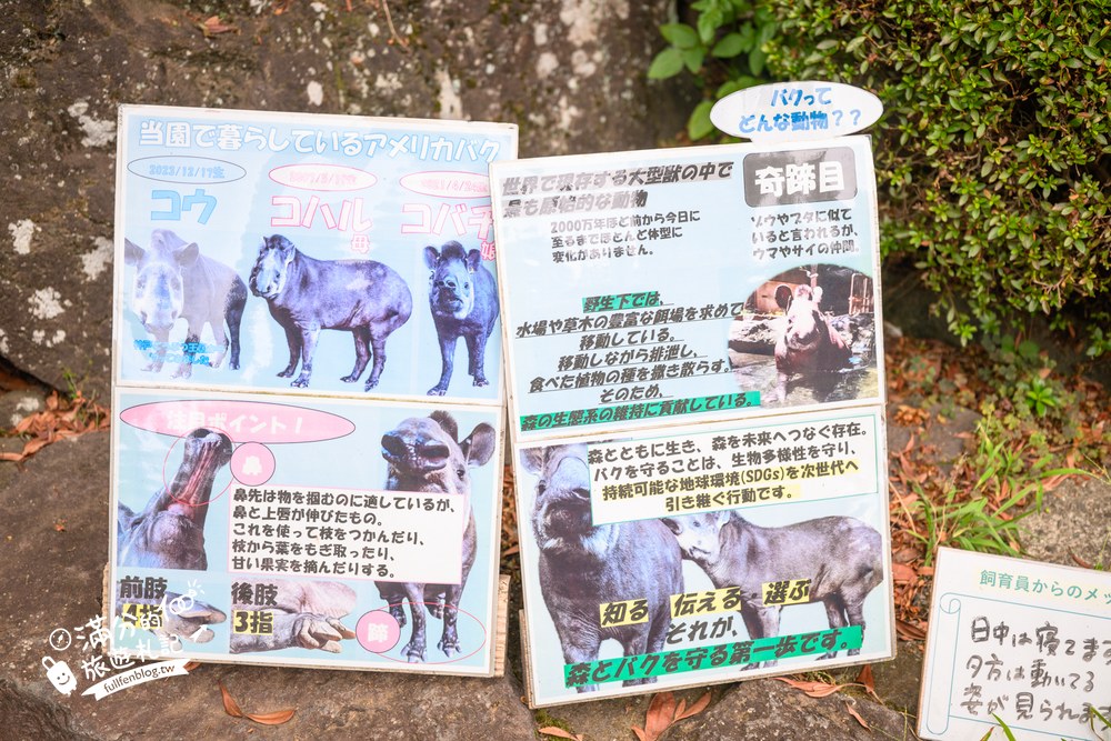 伊豆仙人掌動物園｜伊豆シャボテン動物公園｜フェネック牧場與動物區
