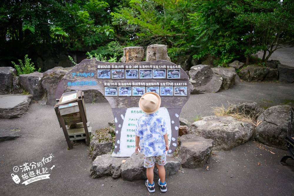 伊豆仙人掌動物園｜伊豆シャボテン動物公園｜フェネック牧場與動物區
