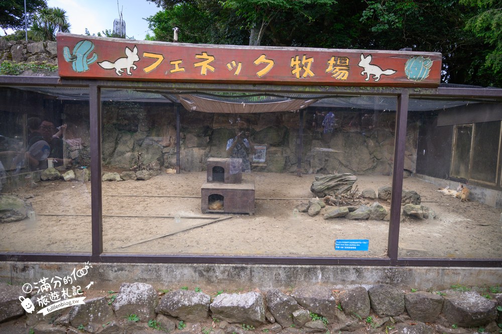伊豆仙人掌動物園｜伊豆シャボテン動物公園｜フェネック牧場與動物區