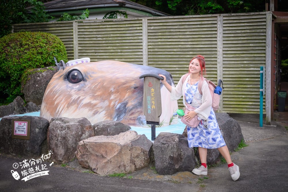 伊豆仙人掌動物園｜伊豆シャボテン動物公園｜大室山觀景平台