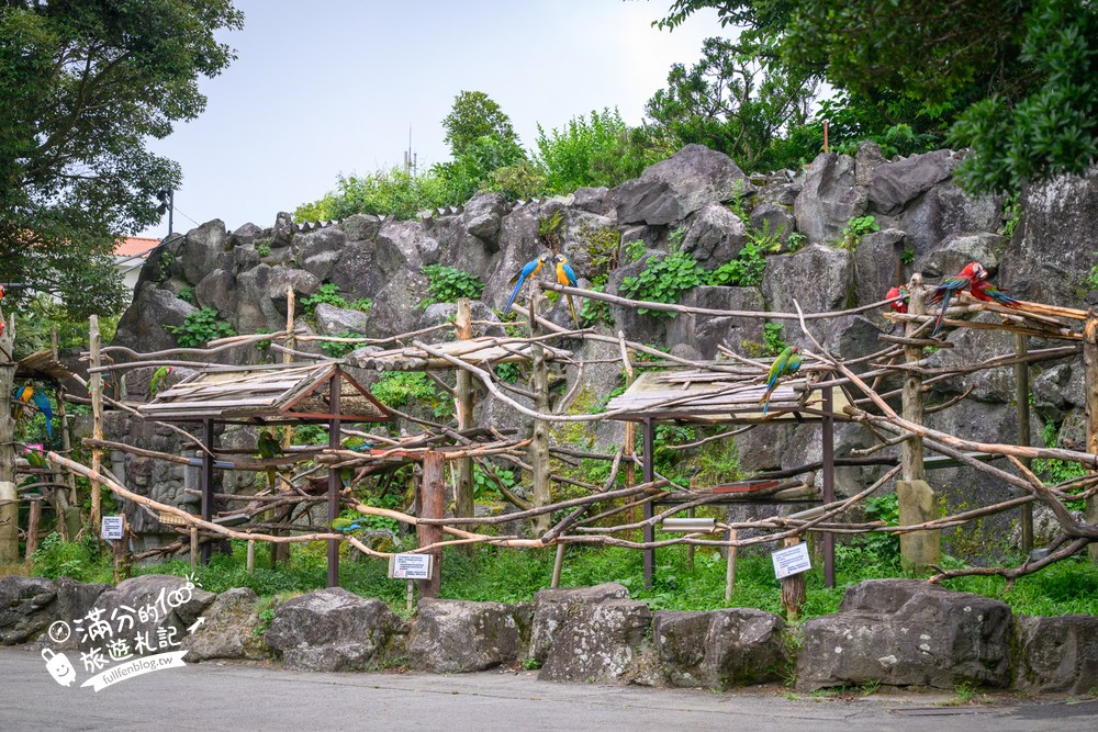 伊豆仙人掌動物園｜伊豆シャボテン動物公園｜アニマルボートツアーズ