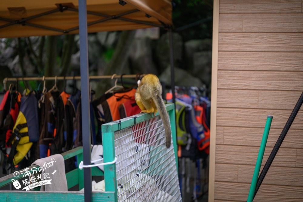 伊豆仙人掌動物園｜伊豆シャボテン動物公園｜フェネック牧場與動物區