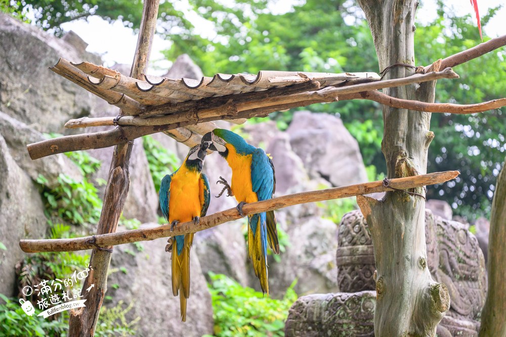 伊豆仙人掌動物園｜伊豆シャボテン動物公園｜アニマルボートツアーズ