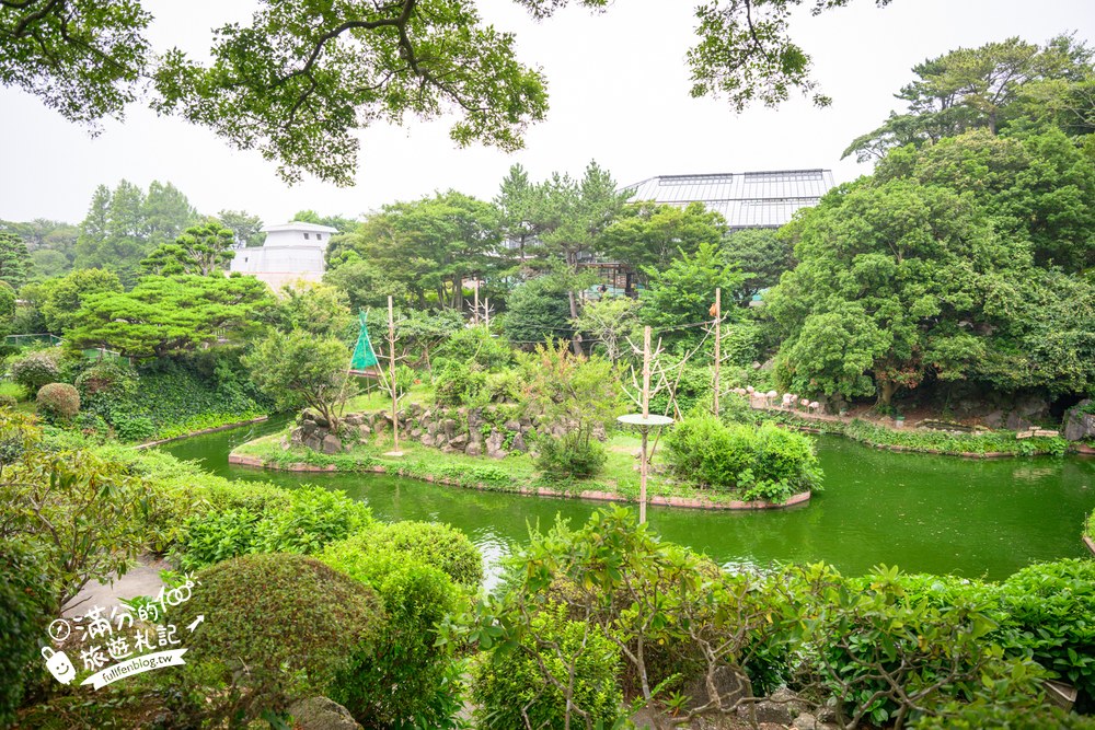 伊豆仙人掌動物園｜伊豆シャボテン動物公園｜アニマルボートツアーズ