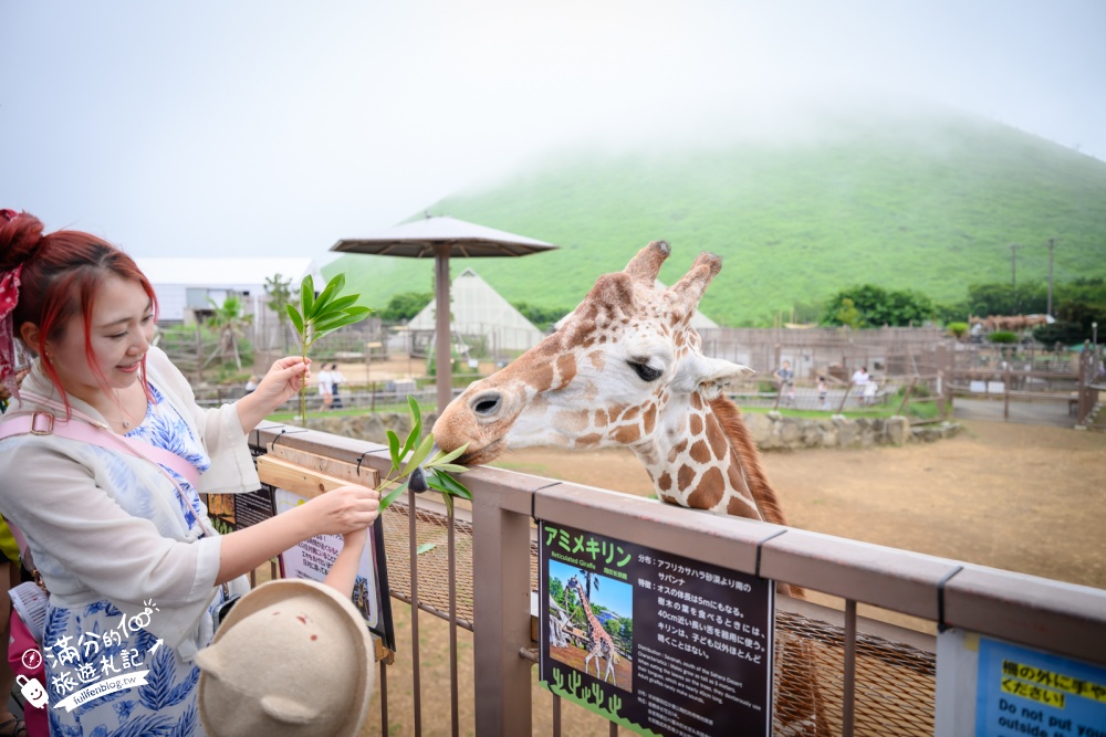 靜岡大室山親子景點【伊豆仙人掌動物公園】門票.交通.營業時間.與水豚互動.餵長頸鹿.搭動物船玩樂攻略!