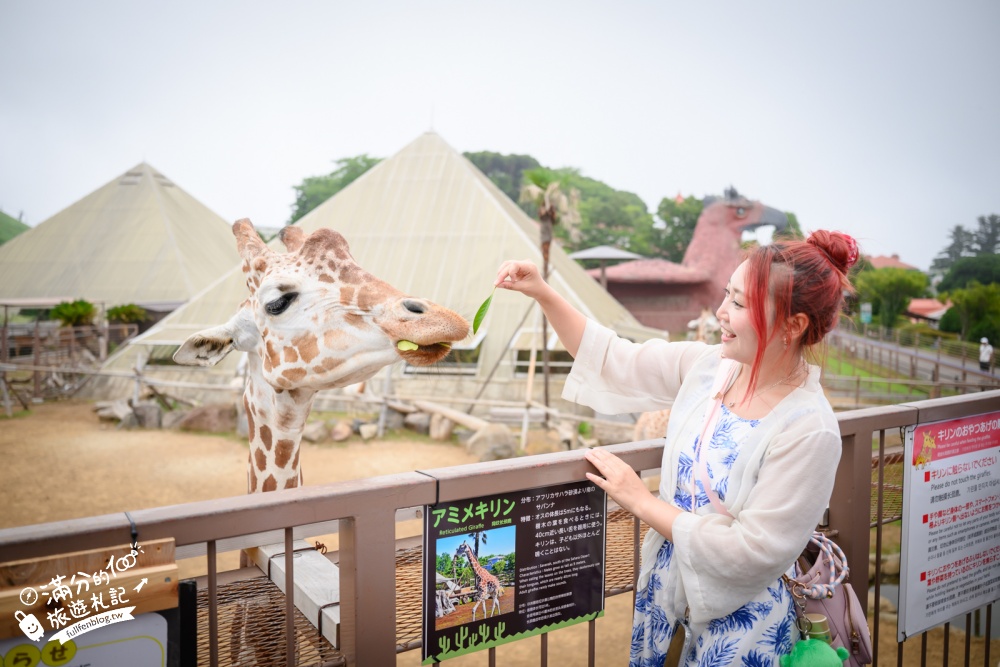 靜岡大室山親子景點【伊豆仙人掌動物公園】門票.交通.營業時間.與水豚互動.餵長頸鹿.搭動物船玩樂攻略!