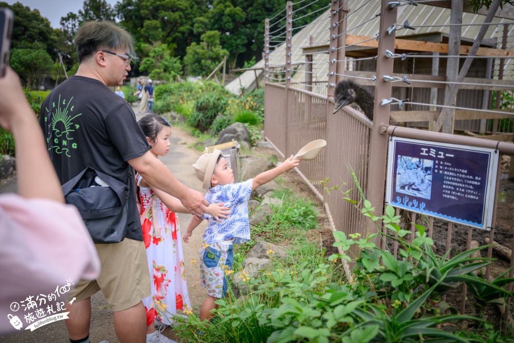 靜岡大室山親子景點【伊豆仙人掌動物公園】門票.交通.營業時間.與水豚互動.餵長頸鹿.搭動物船玩樂攻略!